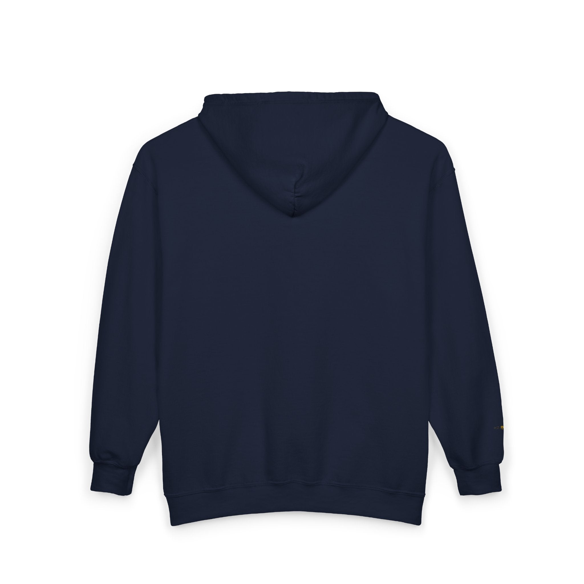 Ascent Collection  Pull Zip Hoodie Embroidered Logo